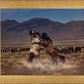 Desert Duel