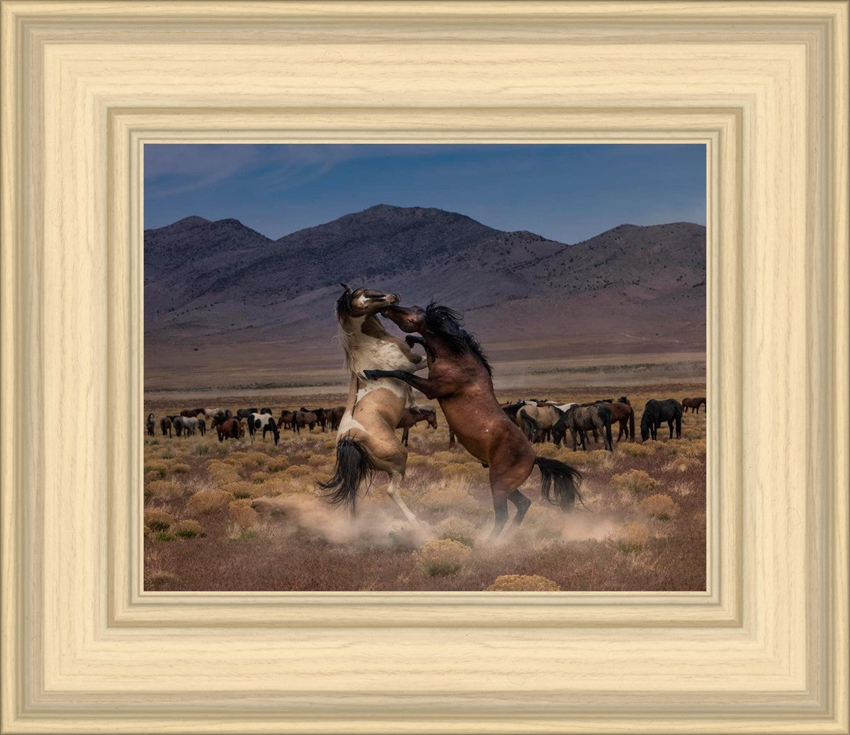 Desert Duel
