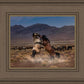 Desert Duel