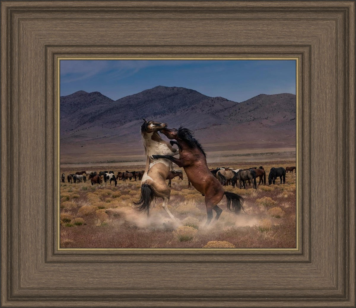 Desert Duel