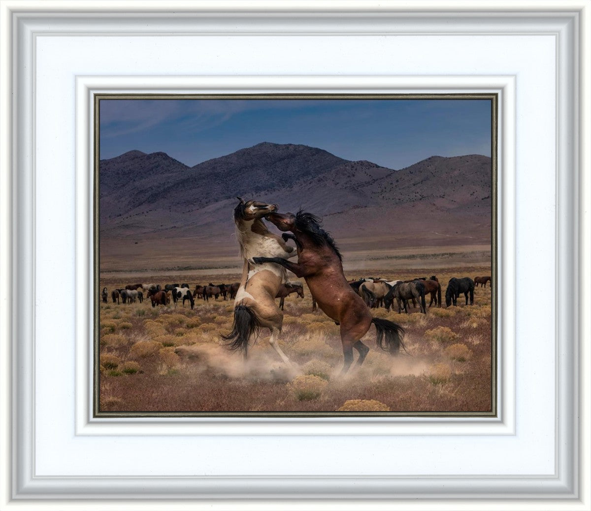 Desert Duel
