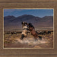 Desert Duel