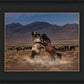 Desert Duel