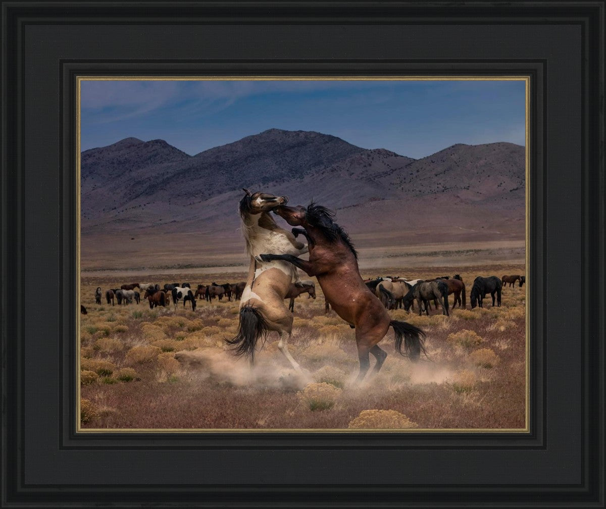 Desert Duel