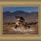 Desert Duel