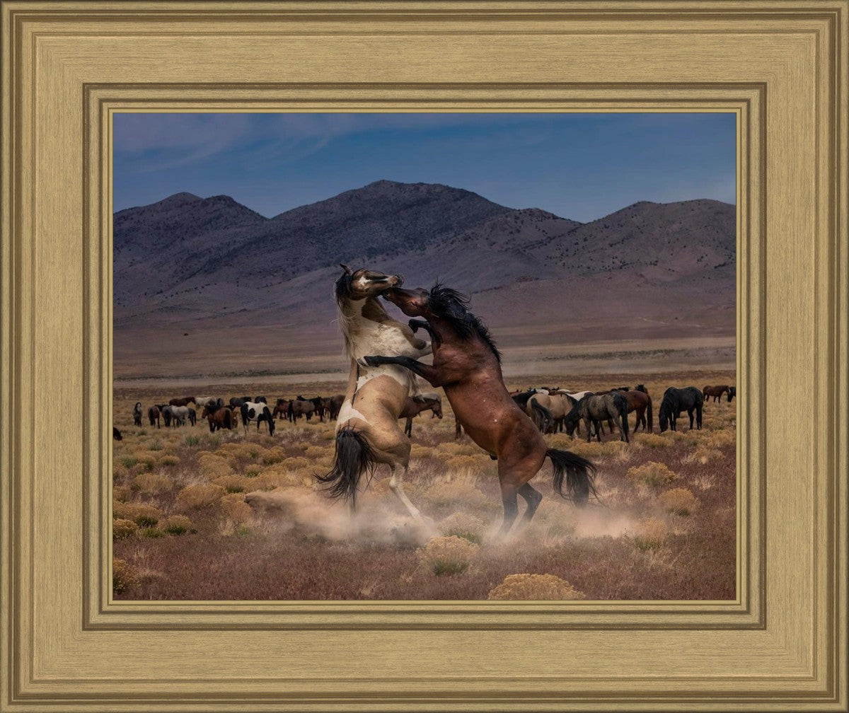 Desert Duel