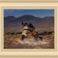 Desert Duel