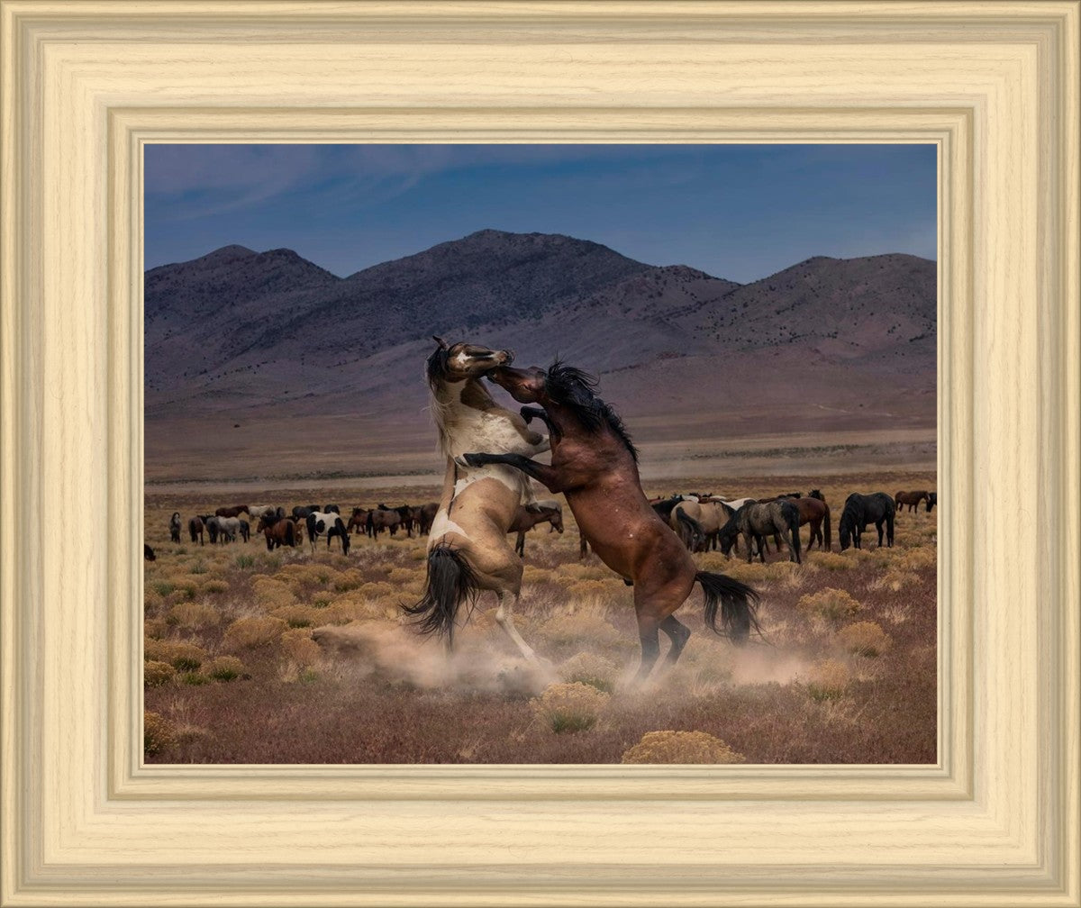 Desert Duel