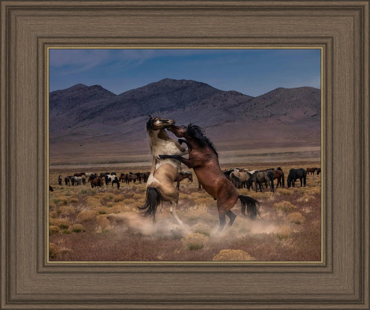 Desert Duel