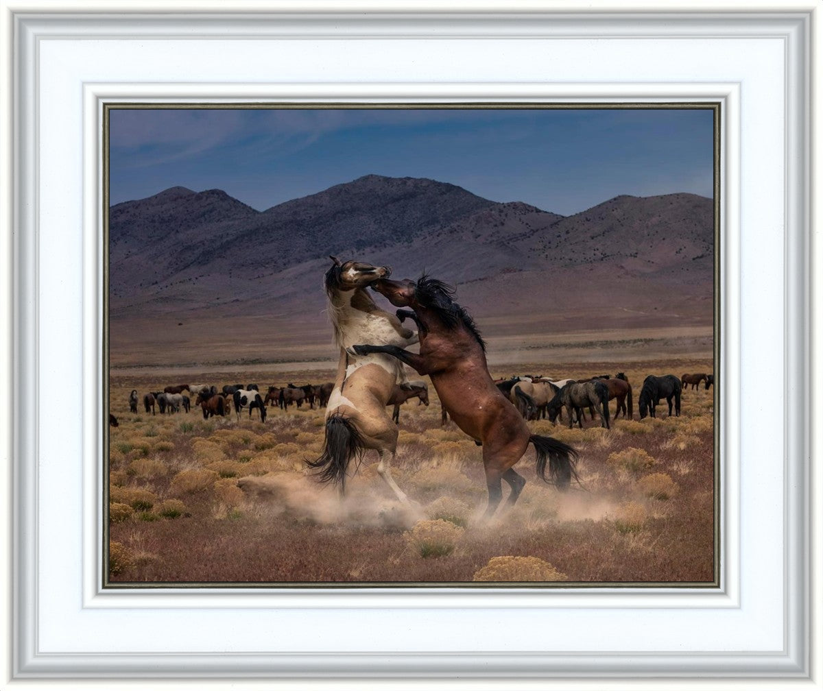 Desert Duel