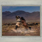 Desert Duel