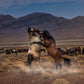 Desert Duel