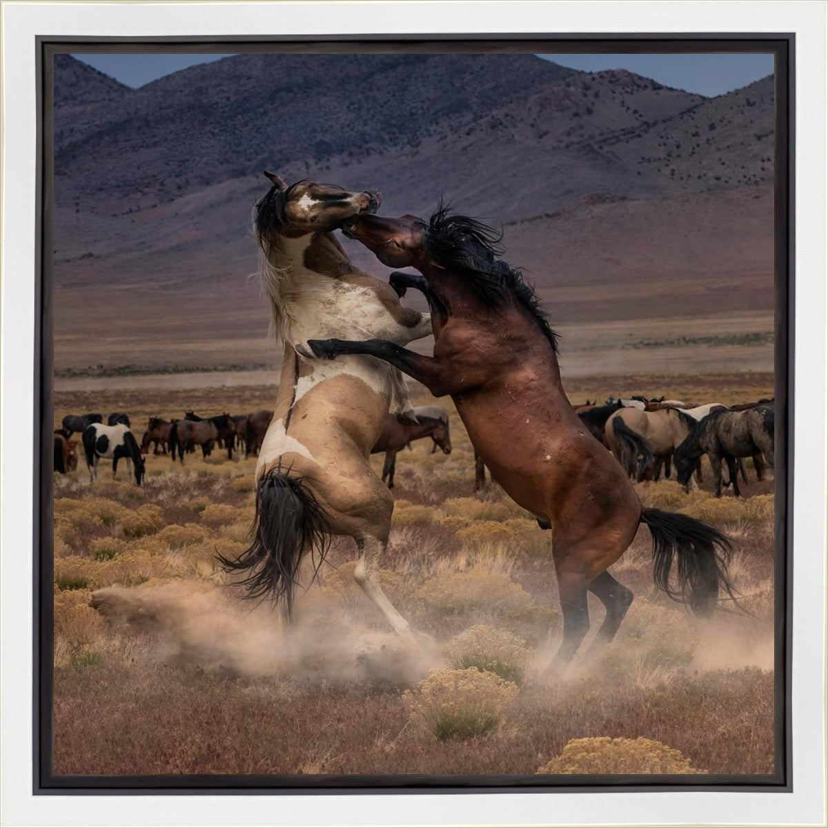 Desert Duel Gallery Wrap