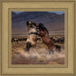 Desert Duel