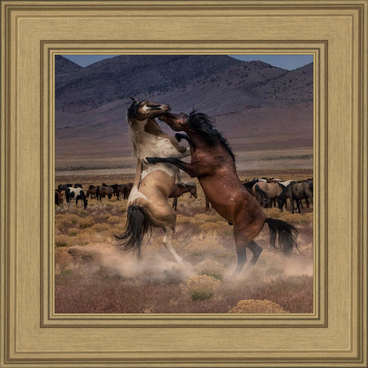 Desert Duel