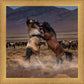Desert Duel