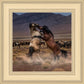 Desert Duel