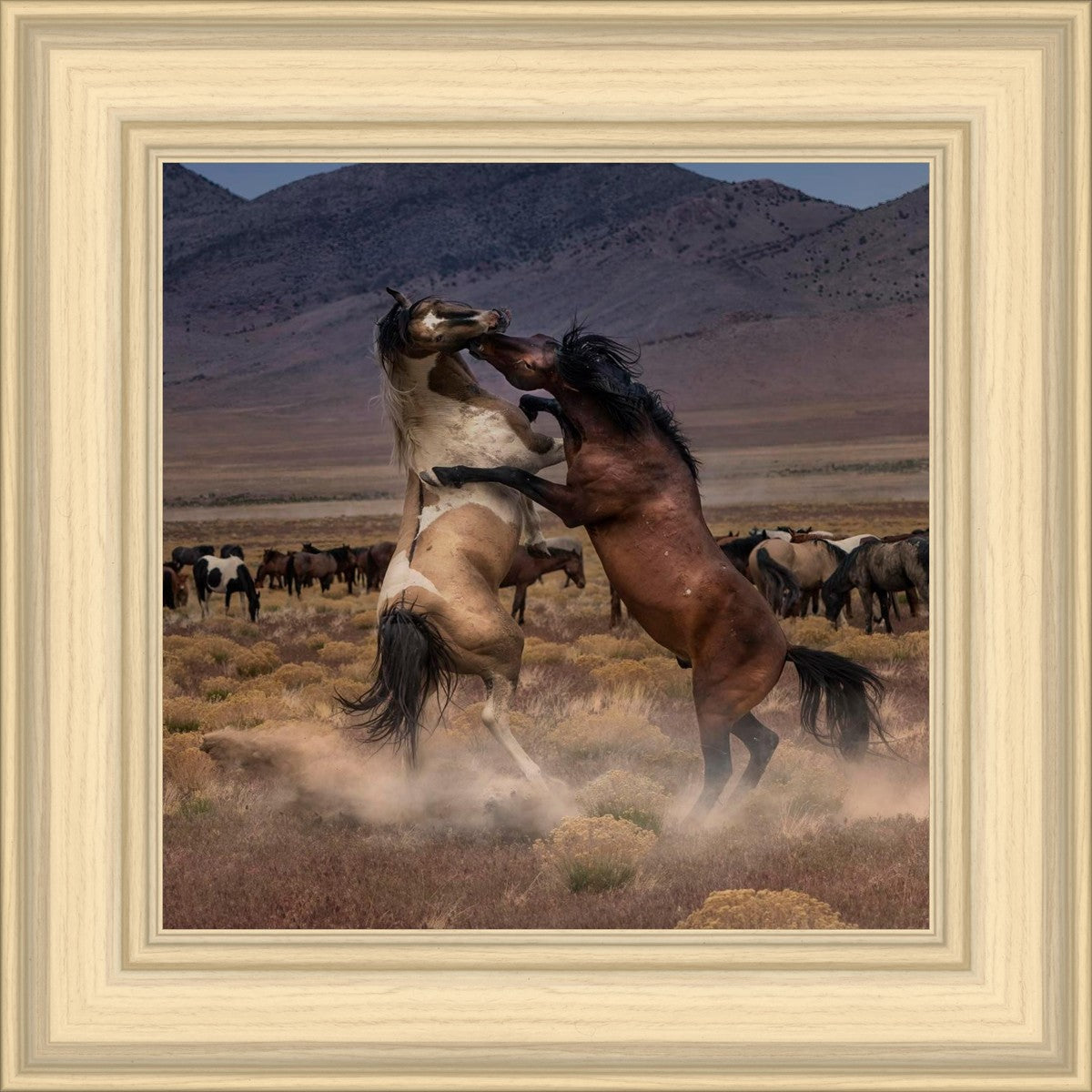 Desert Duel