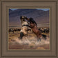 Desert Duel