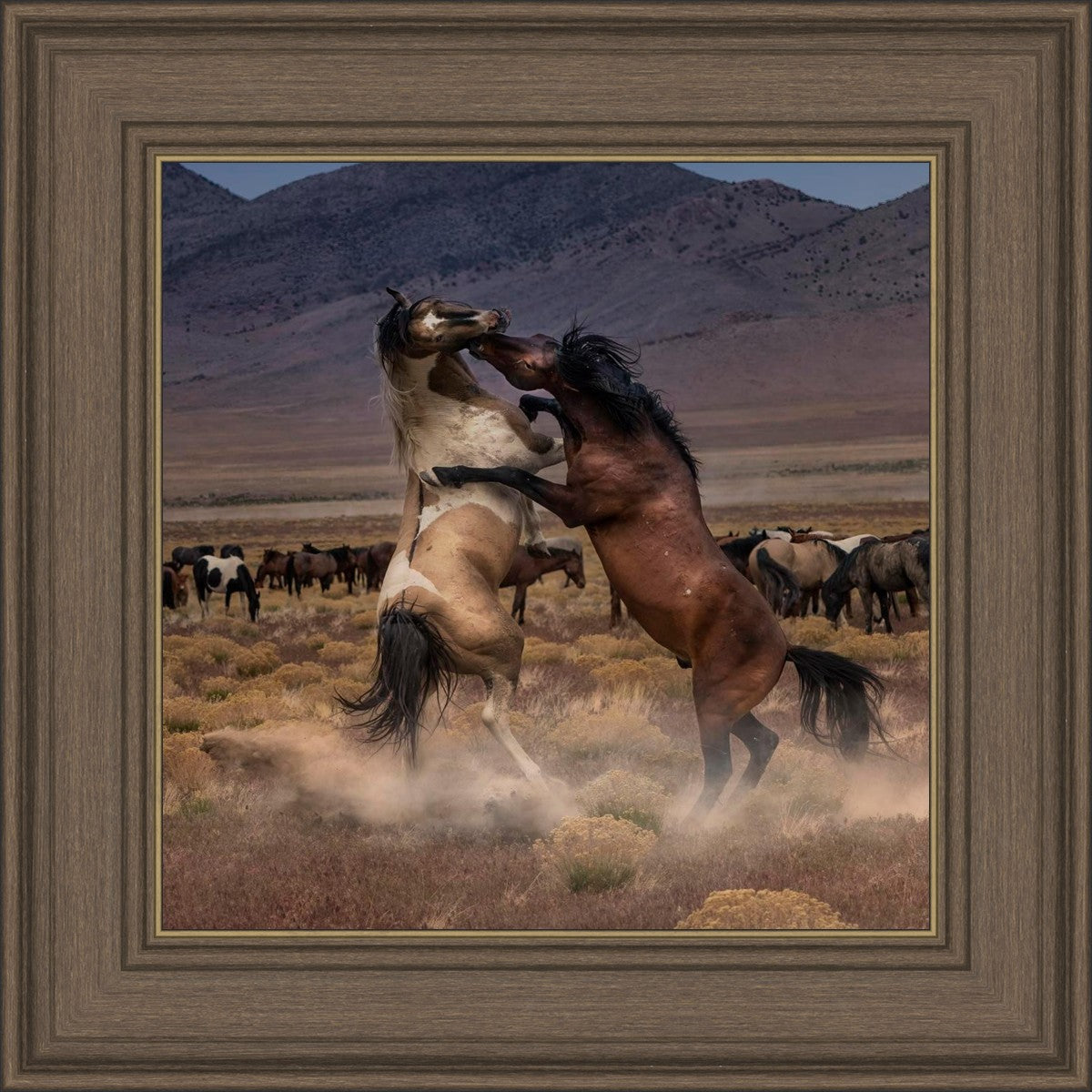 Desert Duel