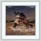 Desert Duel