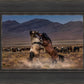 Desert Duel