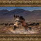 Desert Duel