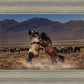Desert Duel