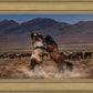 Desert Duel