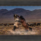 Desert Duel