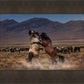 Desert Duel