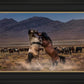 Desert Duel