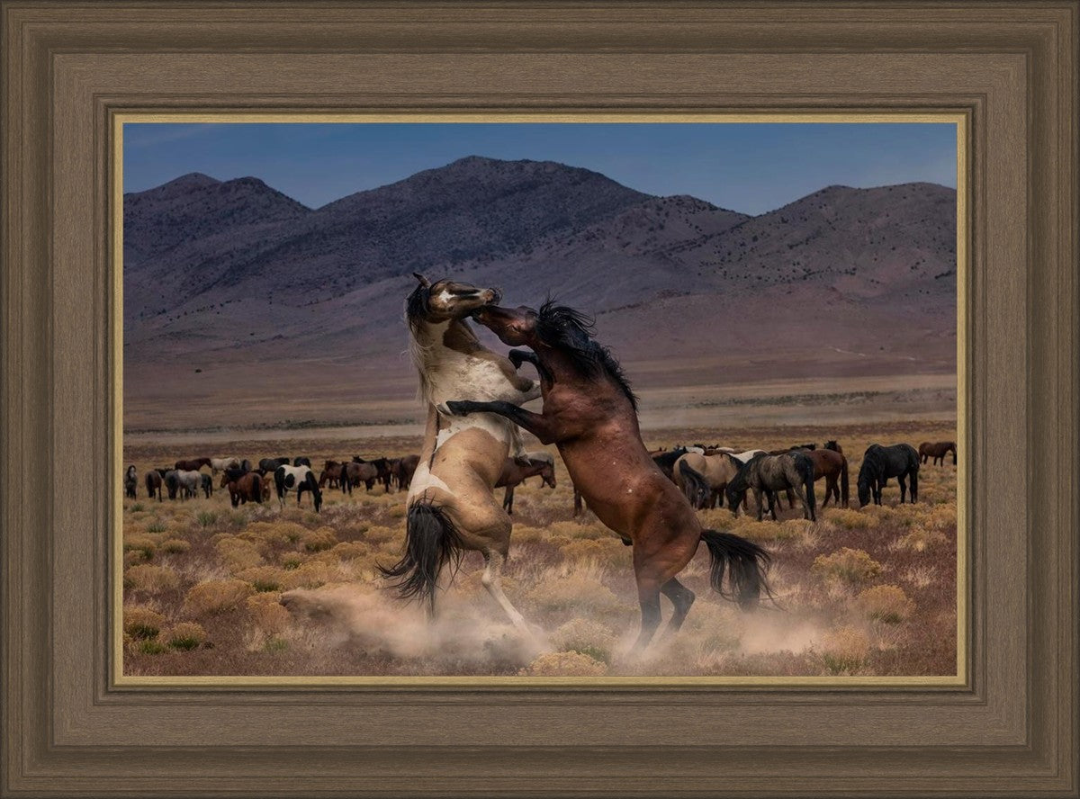Desert Duel