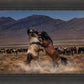 Desert Duel