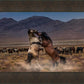 Desert Duel