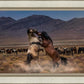 Desert Duel