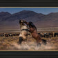 Desert Duel