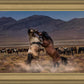Desert Duel