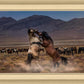 Desert Duel