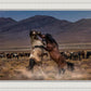 Desert Duel
