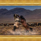 Desert Duel