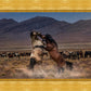 Desert Duel