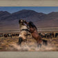 Desert Duel