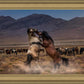 Desert Duel