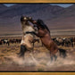 Desert Duel