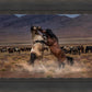 Desert Duel