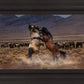 Desert Duel