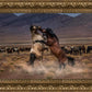 Desert Duel