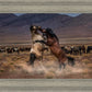 Desert Duel
