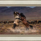 Desert Duel